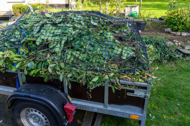 Best Same-Day Junk Removal Services  in Oak Bluffs, MA